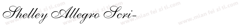 Shelley Allegro Scri字体转换